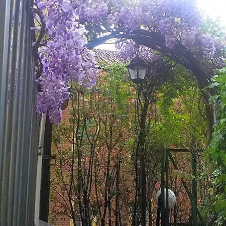 Alojamento de Acomodação e Pequeno-almoço Il Terrazzo Pollone
