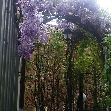 Il Terrazzo Bed & Breakfast