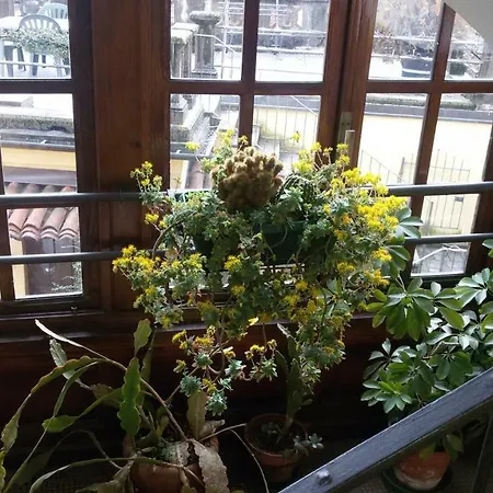 Il Terrazzo 住宿加早餐酒店 3*